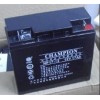 广东冠军蓄电池NP17-12原装正品